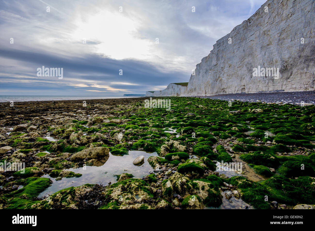 Birling Gap, guardando verso le sette sorelle, East Sussex, England, Regno Unito Foto Stock