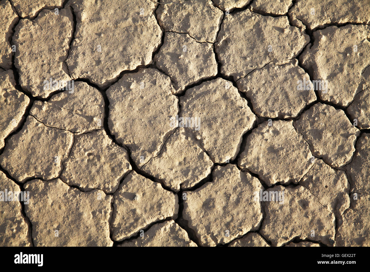 Terreno desertico secco, forma del cuore, Valle della morte, Stati Uniti Foto Stock