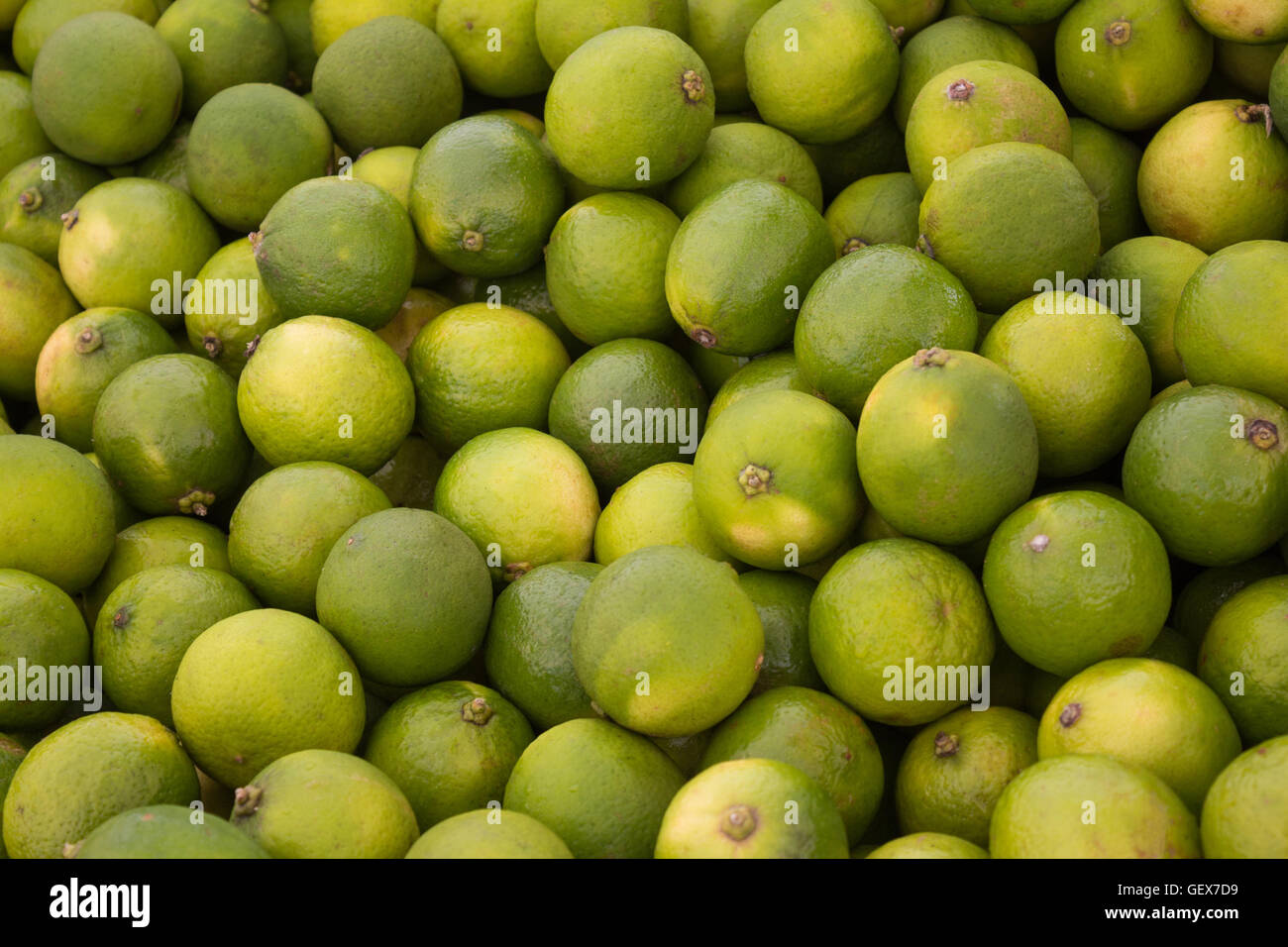 Lime di sfondo di frutta - pila di verde lime frutti Foto Stock