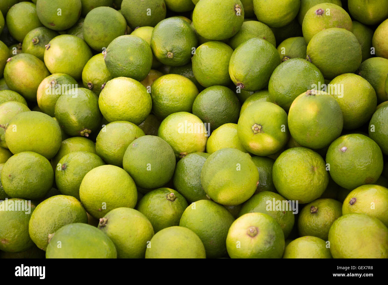Lime di sfondo di frutta - pila di verde lime frutti Foto Stock