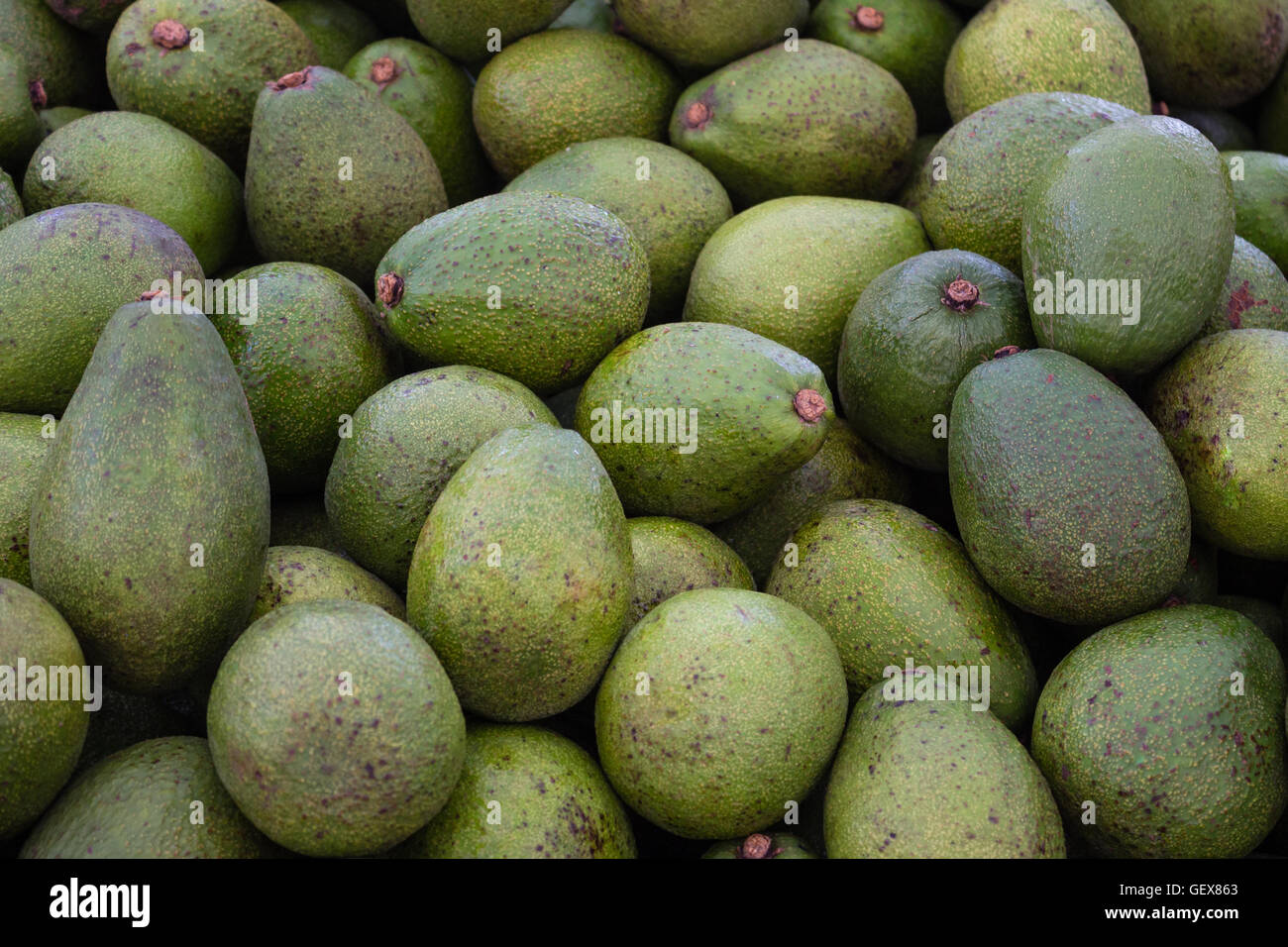 Pila di verde avocado al mercato alimentare Foto Stock