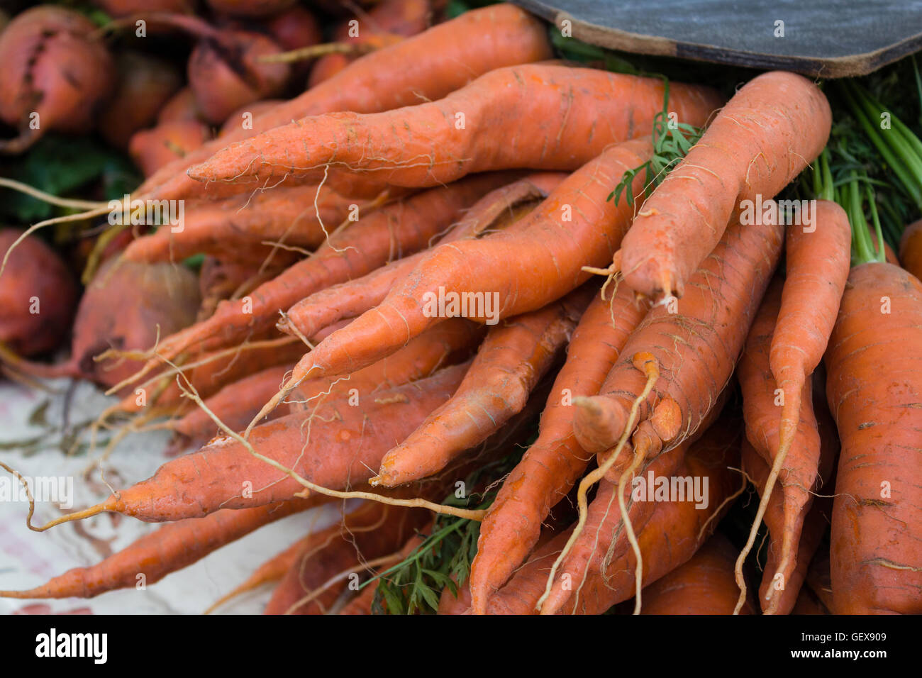 Mazzetto di bio carote closeup - Materie e non lavate Foto Stock