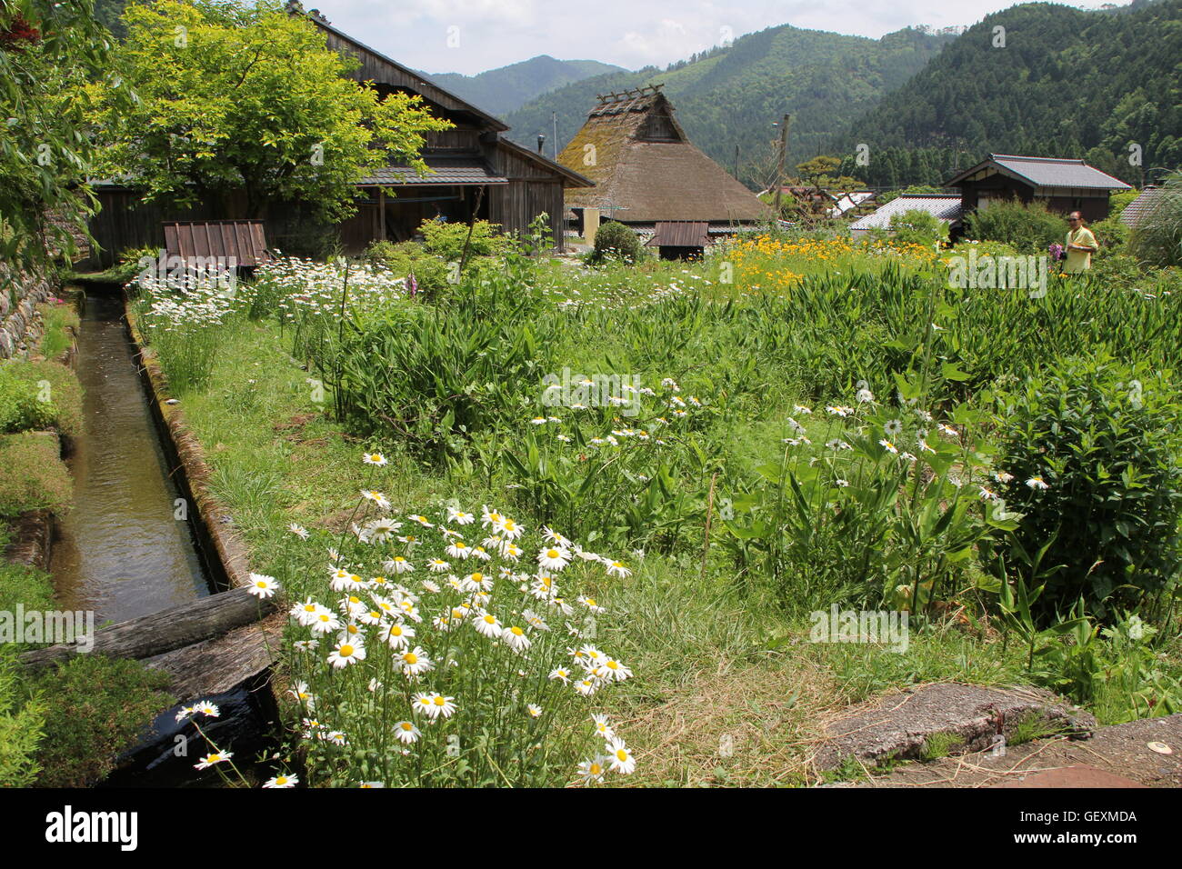 Campagna giapponese prefettura di Kyoto Foto Stock