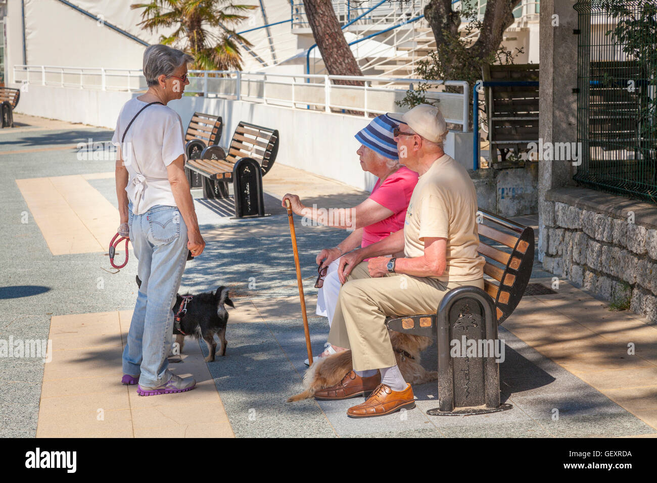Coppia di anziani seduti sul banco in ombra a parlare con una donna cane a piedi. Foto Stock