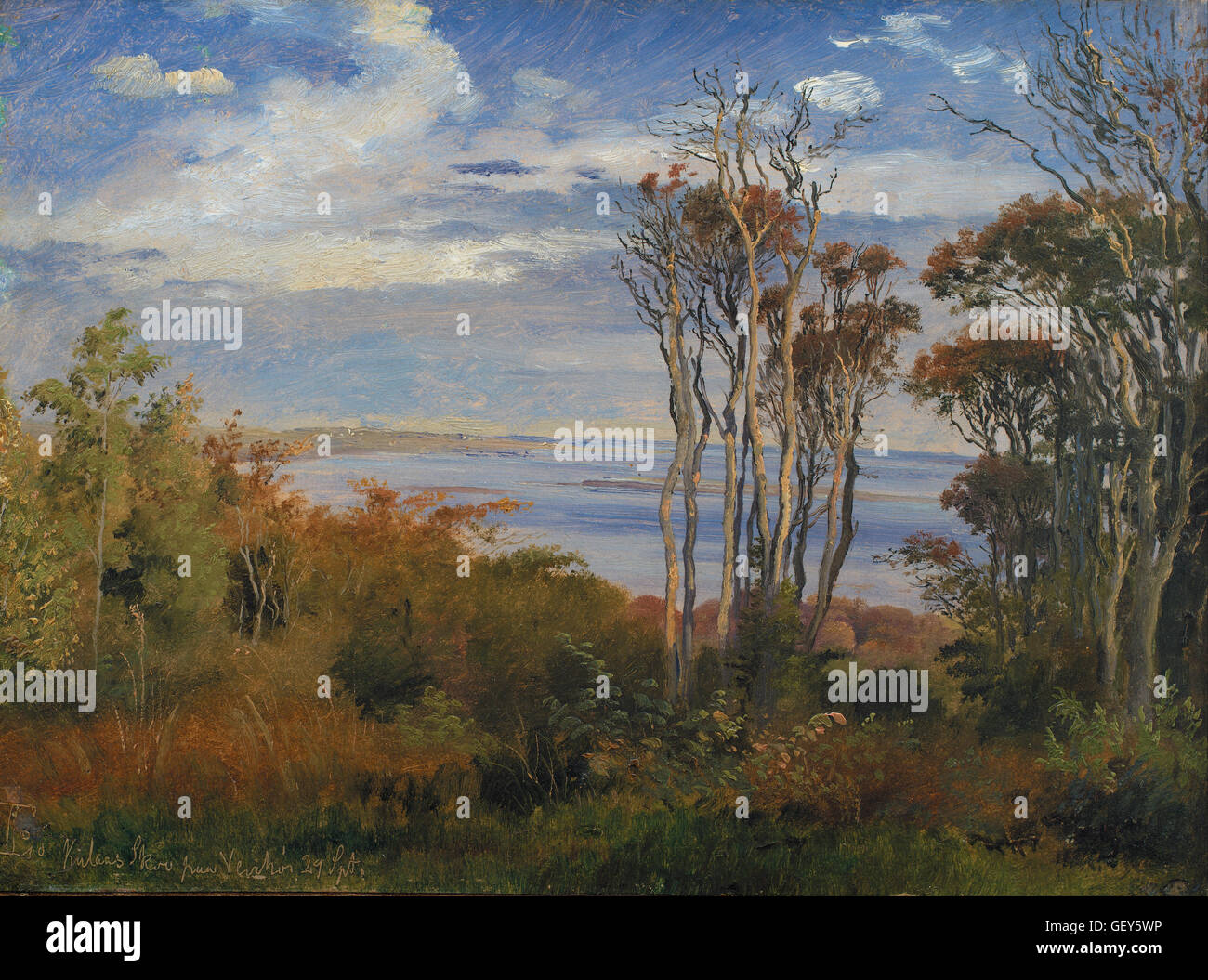 Johan Thomas Lundbye - Kolås legno, Vejrhøj Foto Stock