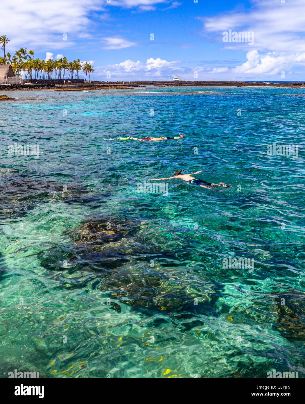 Snorkeler in corrispondenza a due fasi sulla Big Island delle Hawaii; vista Puuhonau O Honaunau, città di rifugio e di un parco nazionale storico Foto Stock