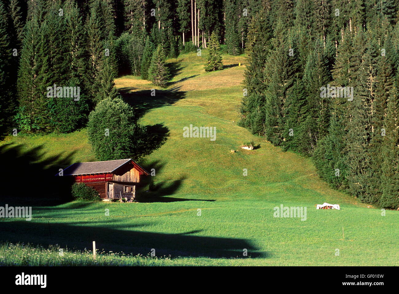 Geografia / viaggi, Austria, Tirolo orientale, Tilliach Ober (Tilliach superiore), legno pagliaio sui pascoli di montagna, Foto Stock