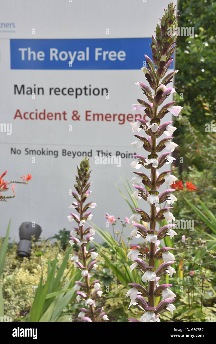 Il Royal Free Londra,Ospedale segno,Pond Street,London.UK Foto Stock