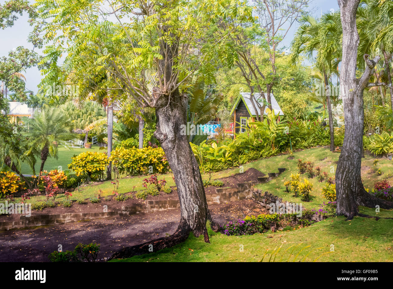 Il giardino lussureggiante di Romney Manor ST. Kitts West Indies Foto Stock