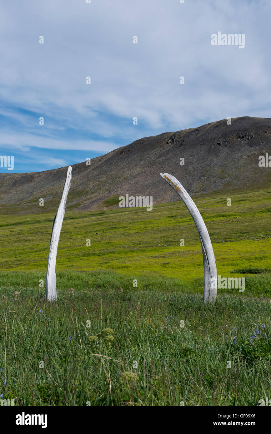 La Russia, Siberia, Chukotka Okrug autonomo aka Chukotka. Isola di Yttygran, Masik santuario, osso di balena vicolo. Foto Stock