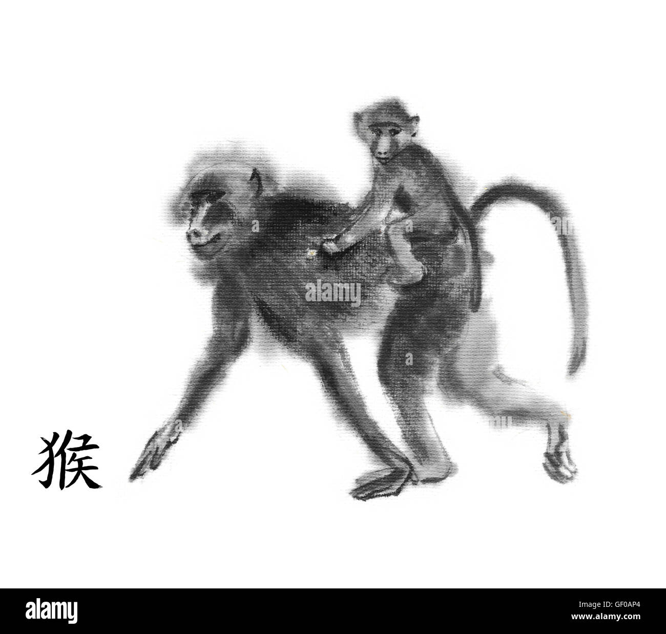 Monkey oriental pittura inchiostro cinese con hieroglyph 'Monkey". Madre di babbuino con un bambino correre sulla sua schiena. Isolato su bianco. Foto Stock