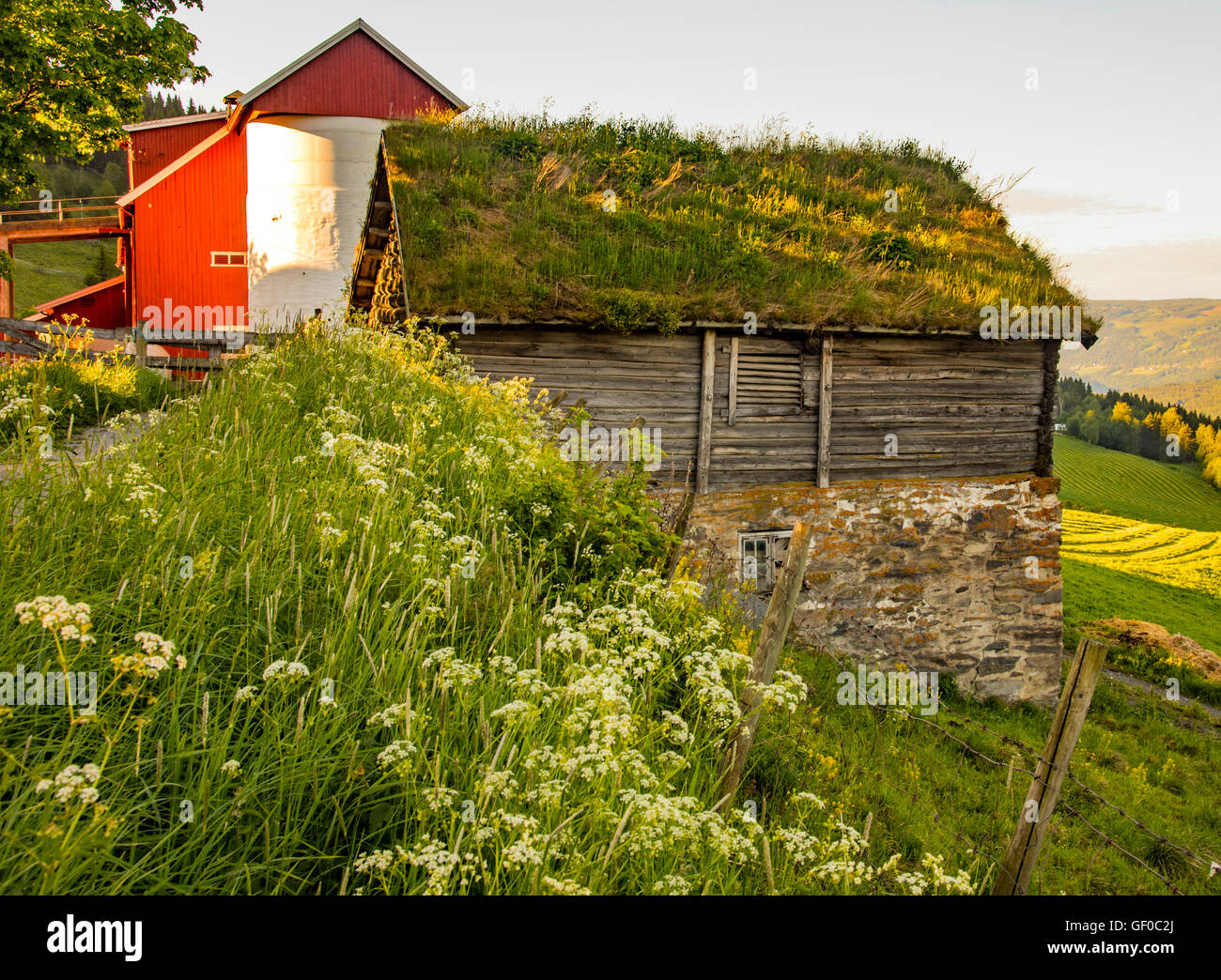 Aziende agricole, rosso silo fienile e un vecchio edificio di legno con tetto di erba vicino a Lillehammer, Grudbrandsdalen Valley, Norvegia, più andare Romsdal Foto Stock