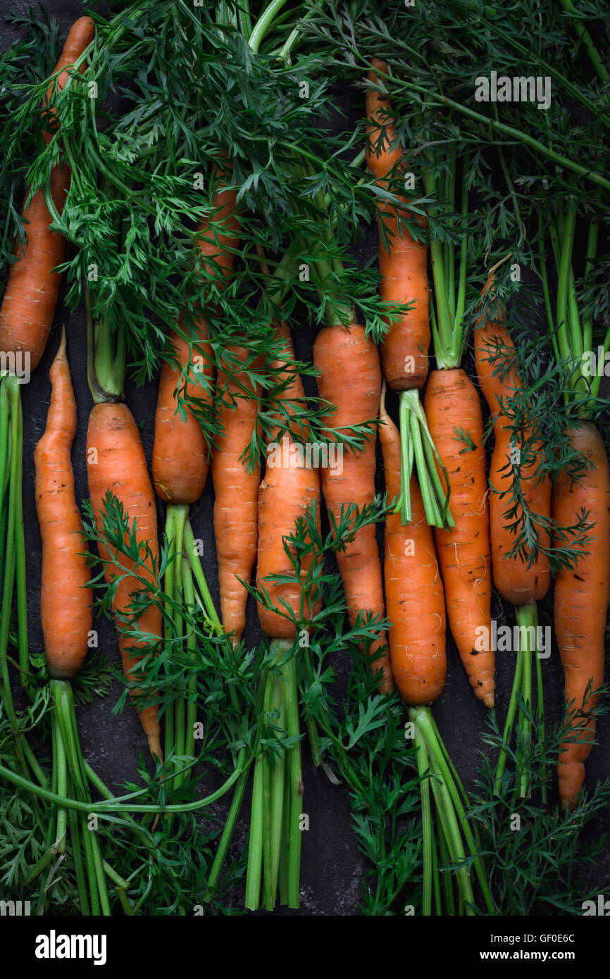 Le carote fresche con cime di verde, sfondo alimentare. Il raccolto di verdure Foto Stock