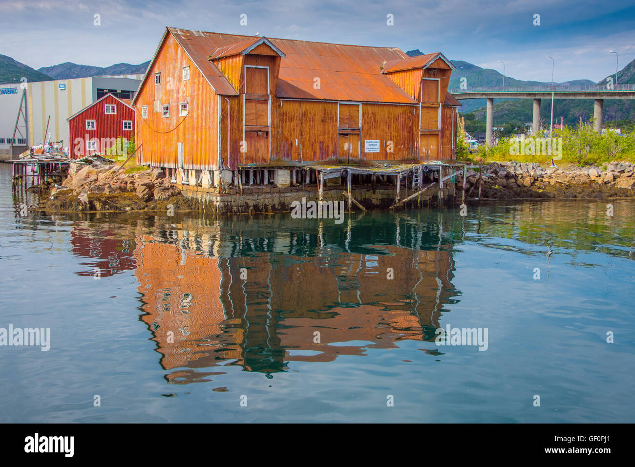 Rosso ruggine case di pesca dal mare, con riflessioni Henningsvaer, Lofoten, Norvegia Foto Stock