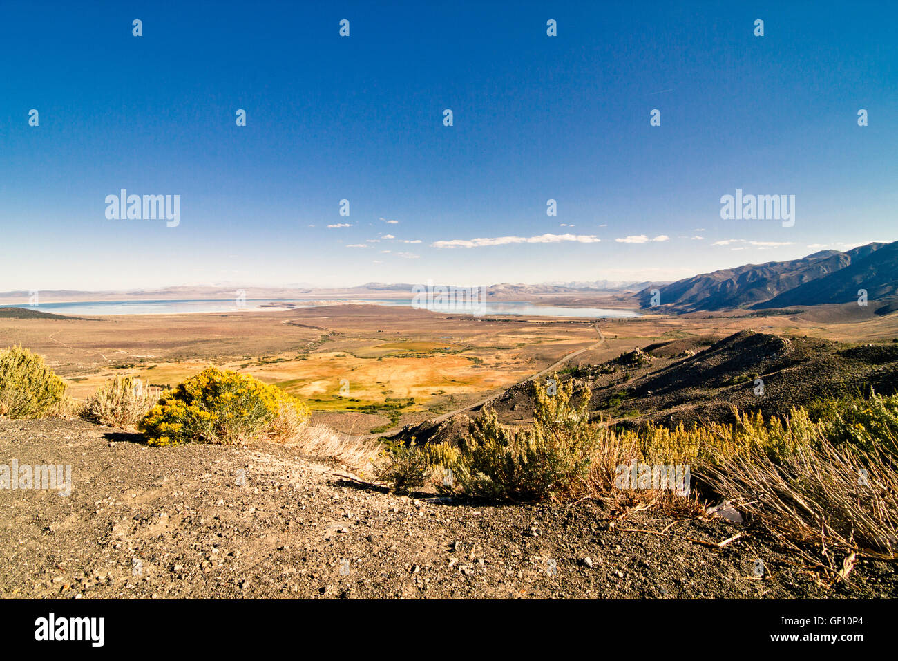 Vista sulla valle della morte, STATI UNITI D'AMERICA Foto Stock