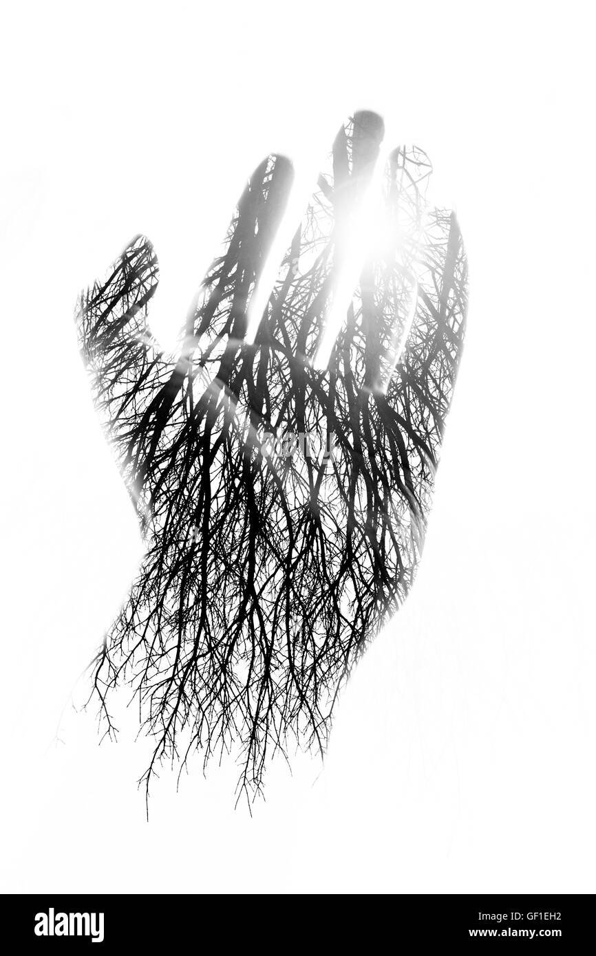 Doppia esposizione di una mano e alberi Foto Stock