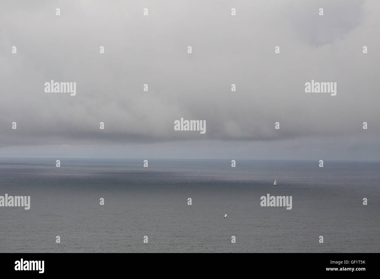 La laminazione di nebbia oltre il mare verso terra, Bempton Cliffs, Yorkshire, Regno Unito. Foto Stock