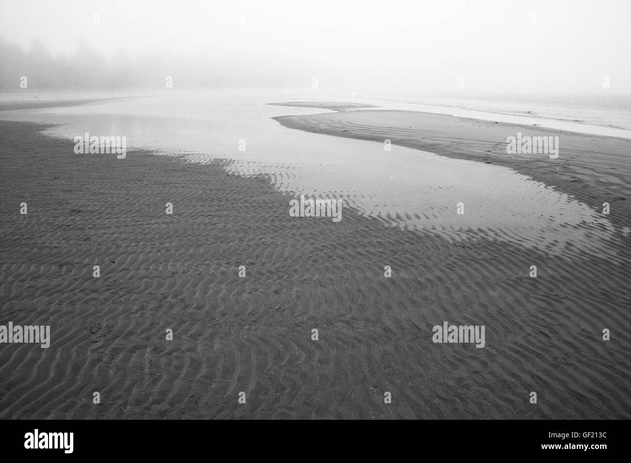 Spiaggia a Pacific Rim National Park. Vancouver. In Canada. La nebbia Foto Stock