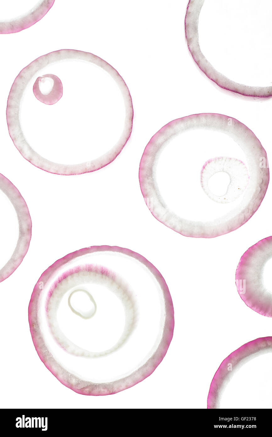 Abstract anelli di cipolle su sfondo bianco Foto Stock