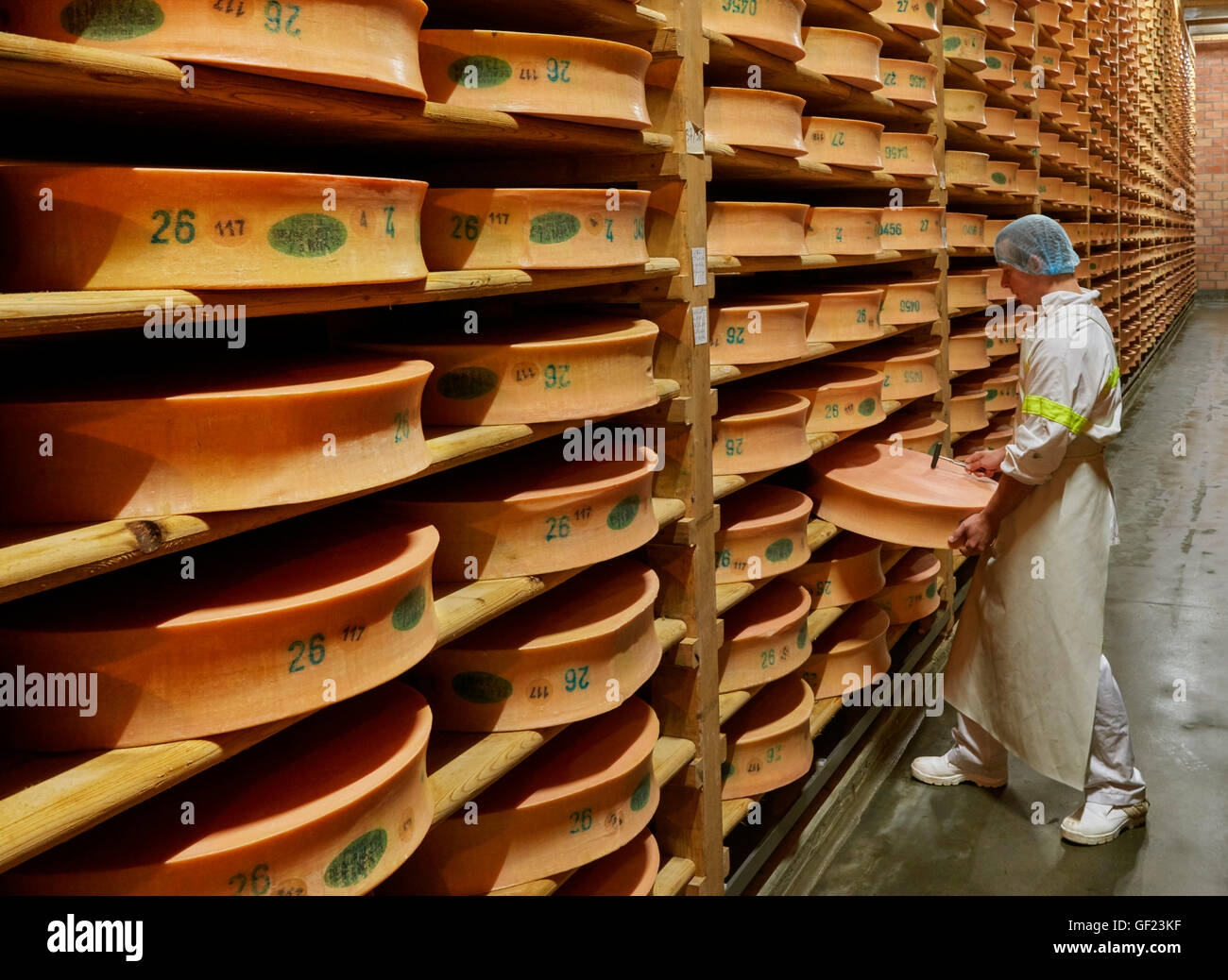 Battendo con un martello piccolo per verificare la qualità e lo sviluppo di Beaufort formaggio. Monts et Terroir i produttori di formaggio, La Bathie, Foto Stock