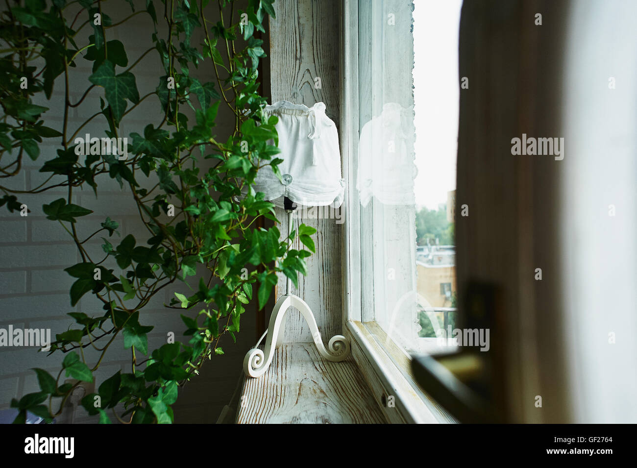 Lampada con paralume in tessuto in piedi su una tavola di legno davanzale nella cornice della pianta verde Foto Stock