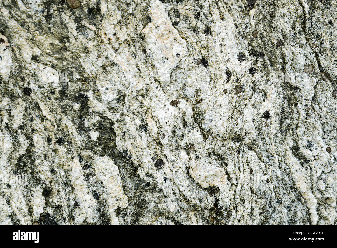 Callanish - dettaglio di una delle pietre - Lewisian gneiss Foto Stock