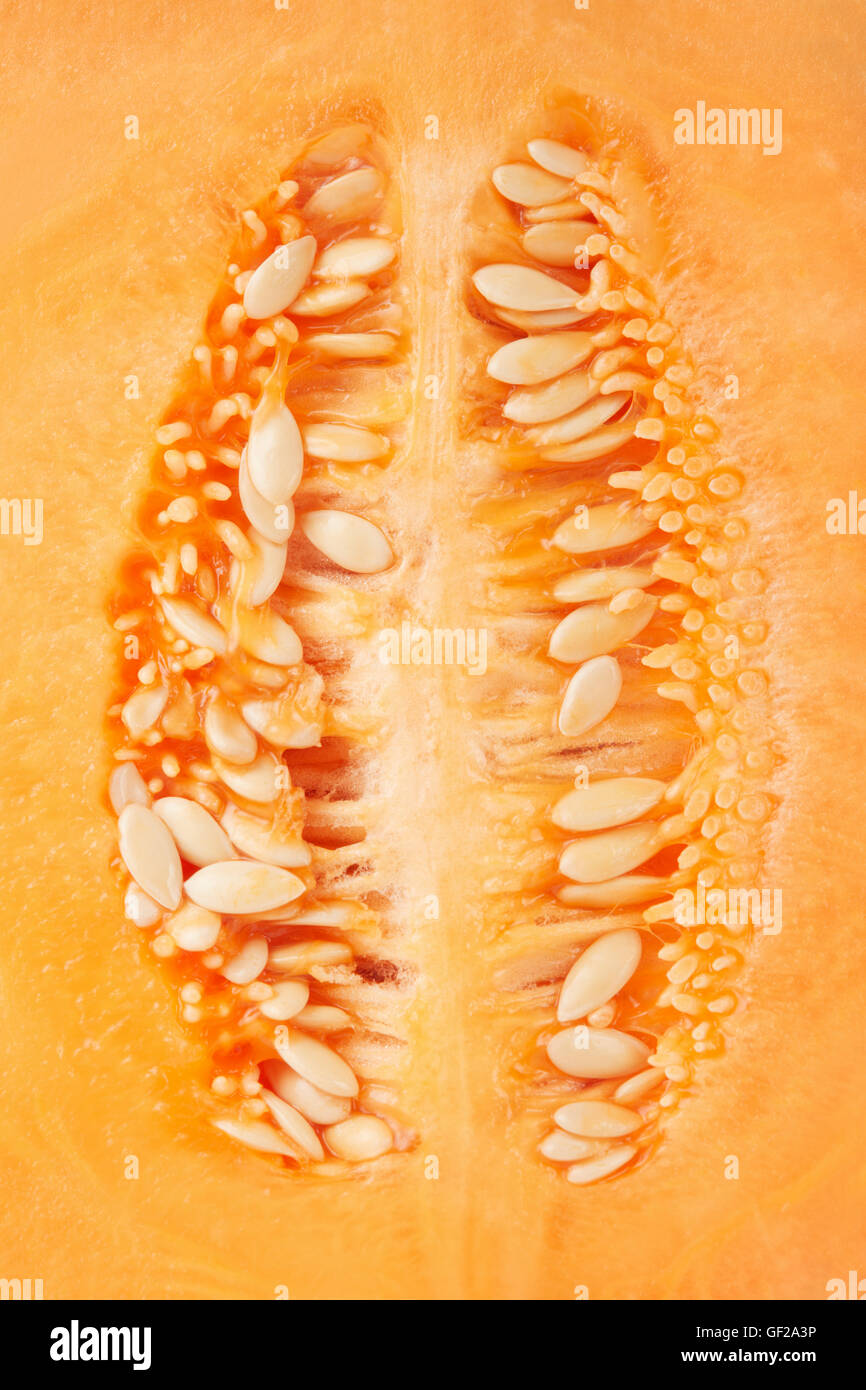 Il melone Cantalupo sezione e semi macro sfondo texture Foto Stock
