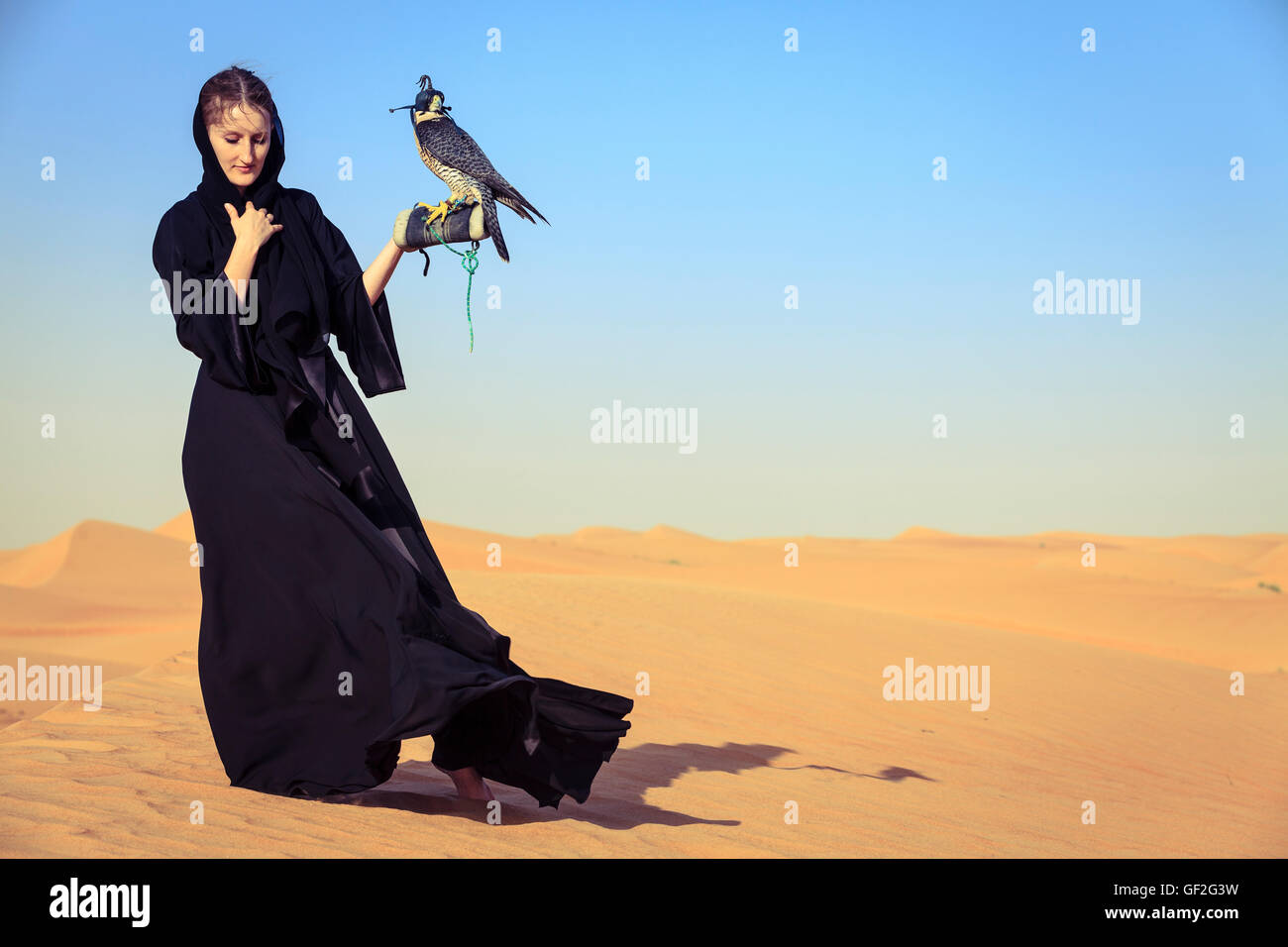 Giovane donna in abaya con falco pellegrino in Dubai Desert Conservation Reserve, EMIRATI ARABI UNITI Foto Stock