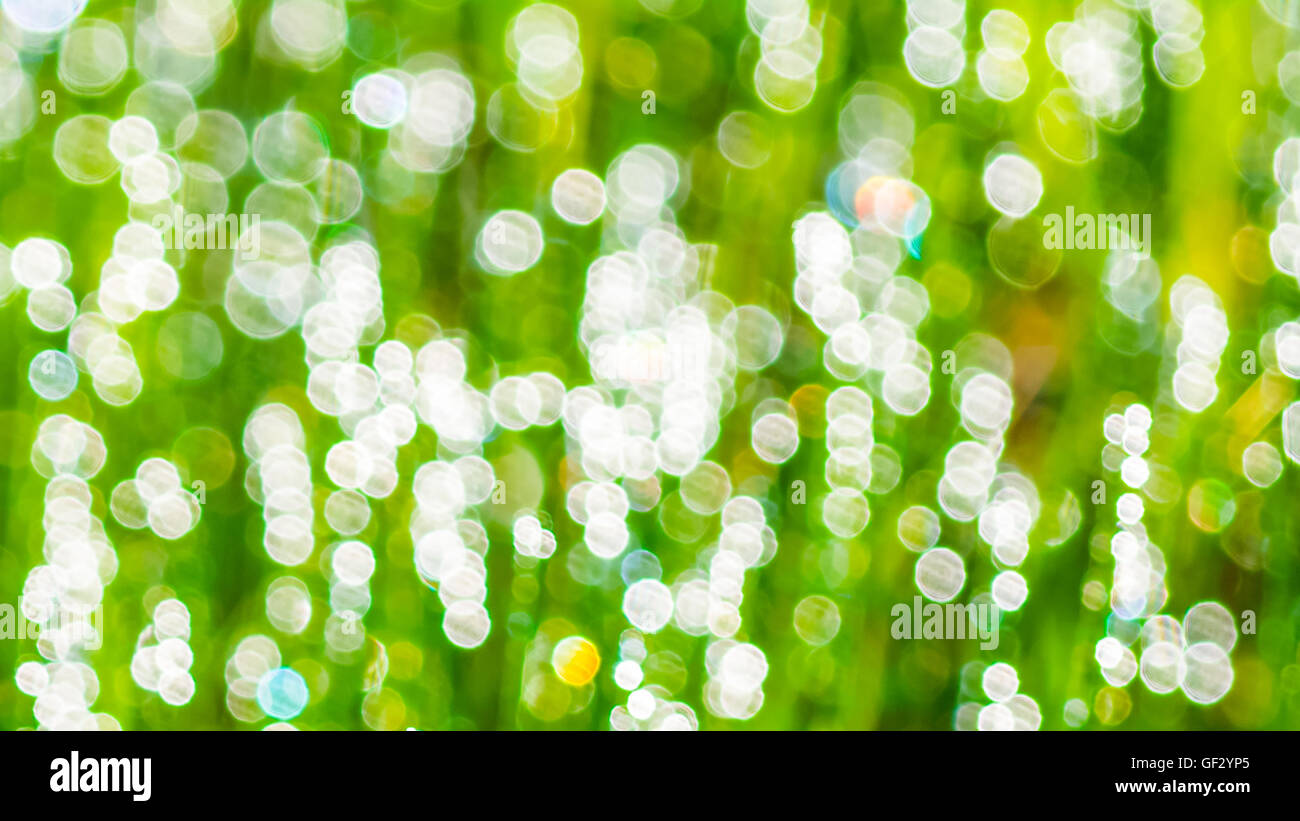 Luce verde bokeh sfondo sfocato. Bokeh di fondo verde texture sfocata. Foto Stock