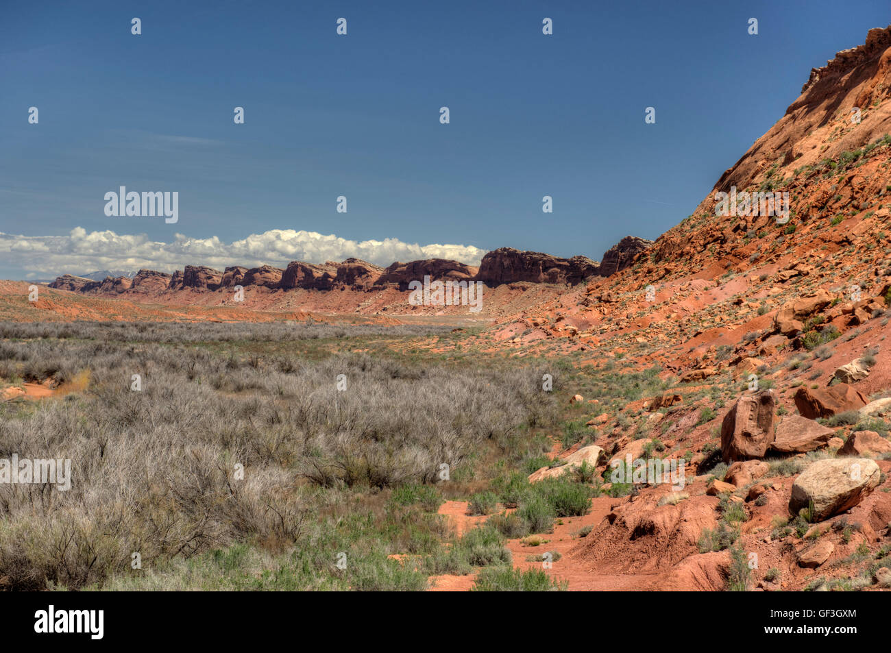 Il "lato posteriore" del Comb Ridge, un 80-miglio lungo monoclino nel sud dello Utah. Foto Stock