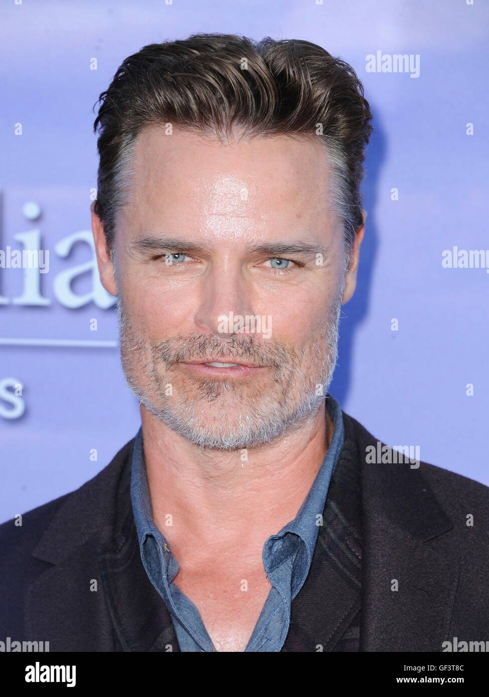 Beverly Hills, CA. 27 Luglio, 2016. Dylan Neal presso gli arrivi per Hallmark Estate evento TCA, residenza privata, Beverly Hills, CA Luglio 27, 2016. Credito: Elizabeth Goodenough/Everett raccolta/Alamy Live News Foto Stock