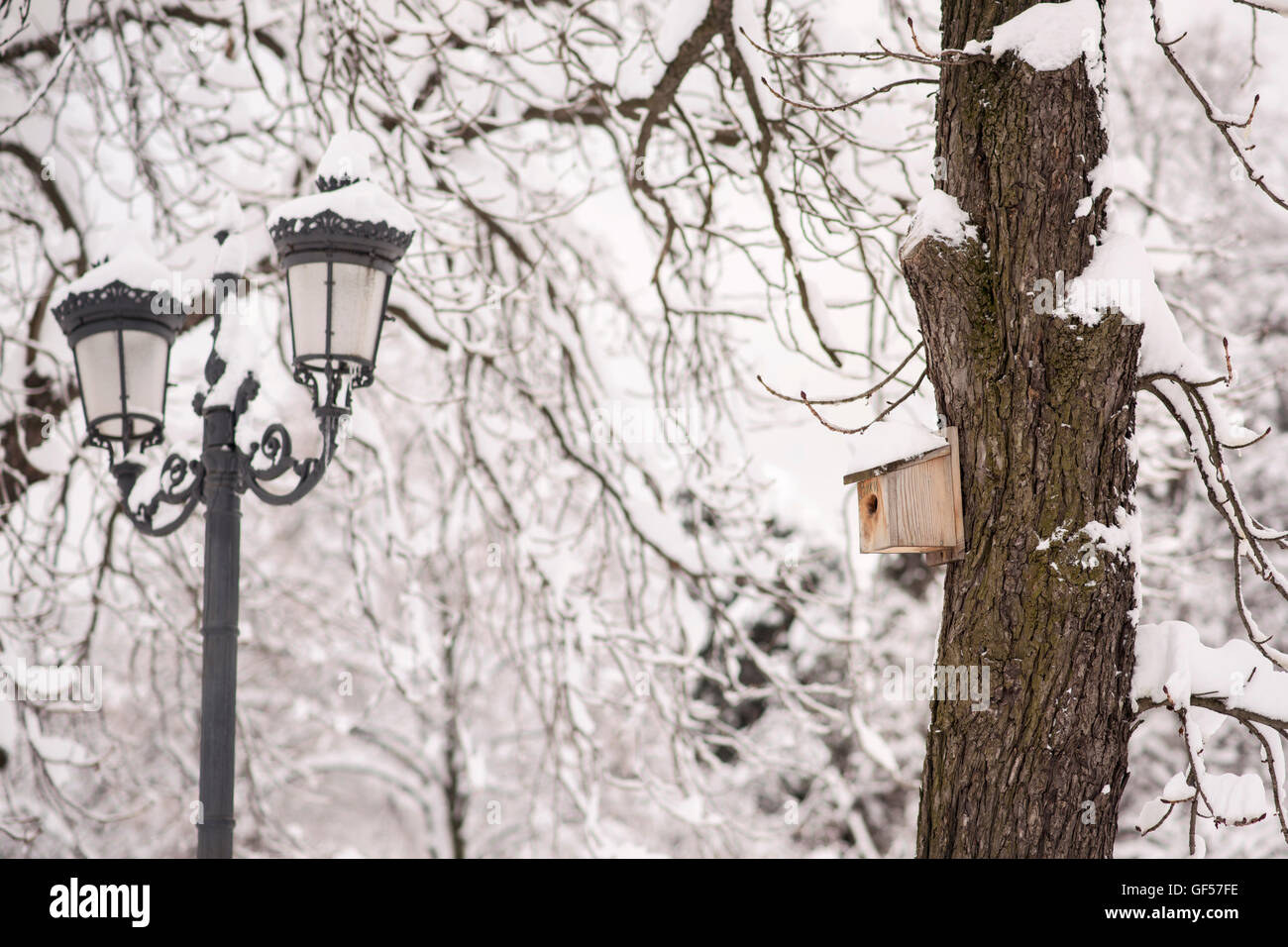 Legno bird casa sull'albero durante il periodo invernale Foto Stock