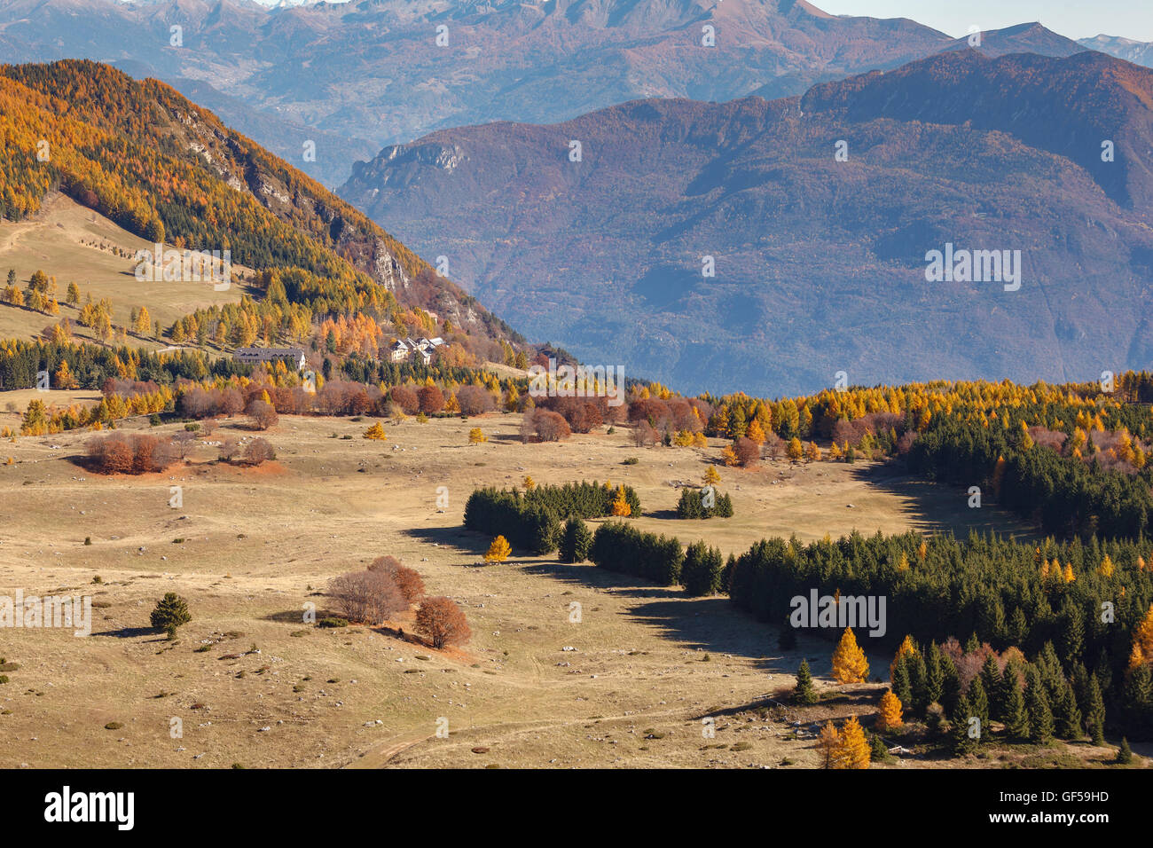 Panorama del paesaggio con abeti nel Parco Nazionale - Tre Cime del Monte Bondone in Italia Foto Stock