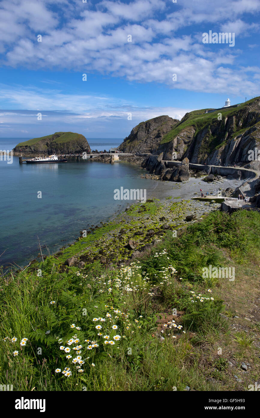Barca al molo nel porto e costa a Lundy Island,Canale di Bristol,Devon, Inghilterra Foto Stock