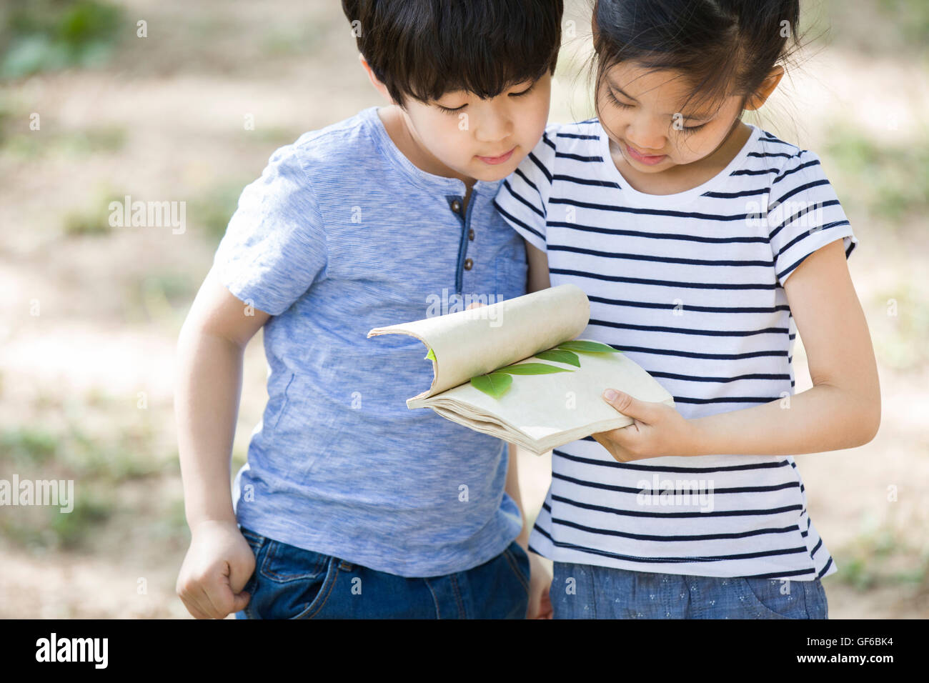 Felici i bambini cinesi la raccolta di campione di foglie di boschi Foto Stock