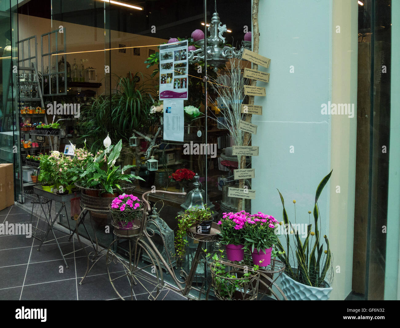 Negozio di fiori in Nuuk centro al primo shopping mall in Groenlandia Foto Stock