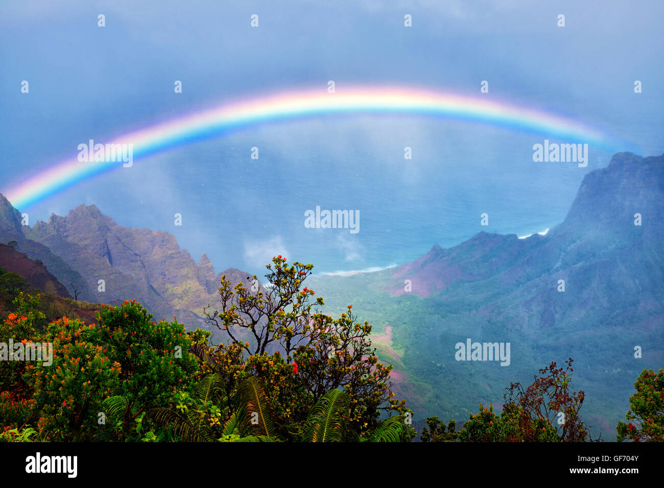 Rainbow come visto da Kalalau Lookout. Il Canyon di Waimea. Kauai, Hawaii,ocean,oceani,oceanic,mare,mari,seascape, paesaggi marini,beach,beach Foto Stock