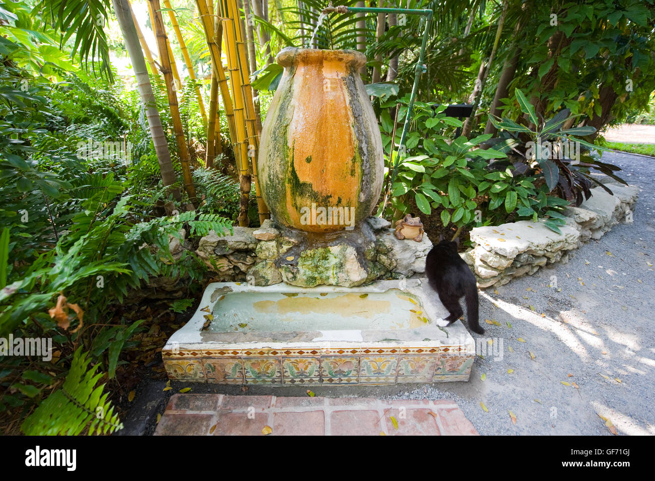 Ex orinatoio nel giardino di Ernest Hemingway House di Key West in Florida. Ora è un luogo per bere per gatti. Foto Stock
