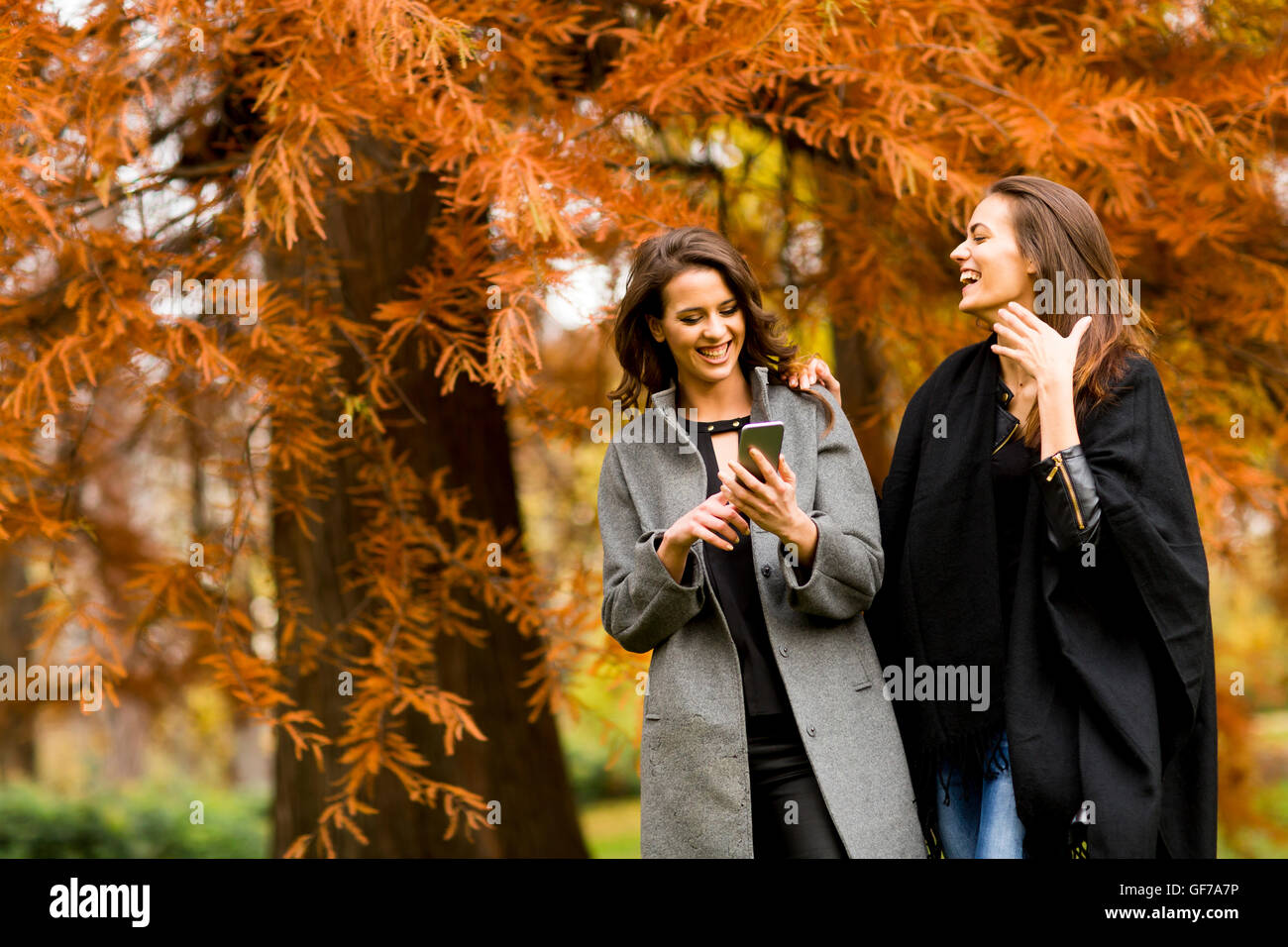 Due belle giovani donne utilizzando il telefono cellulare nella foresta di autunno Foto Stock