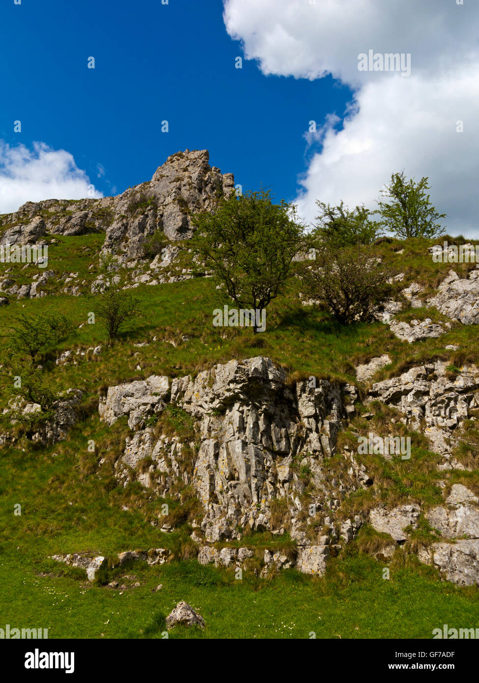 Scenario di calcare a Wolfscote Dale vicino a Hartington in bianco area del picco del Parco Nazionale del Peak District Derbyshire England Regno Unito Foto Stock