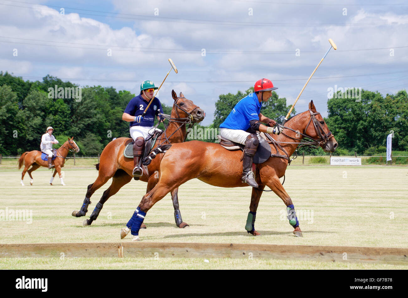 Giocatori di polo al galoppo, a rincorrere la sfera durante un torneo in Lussemburgo, 2016 Foto Stock