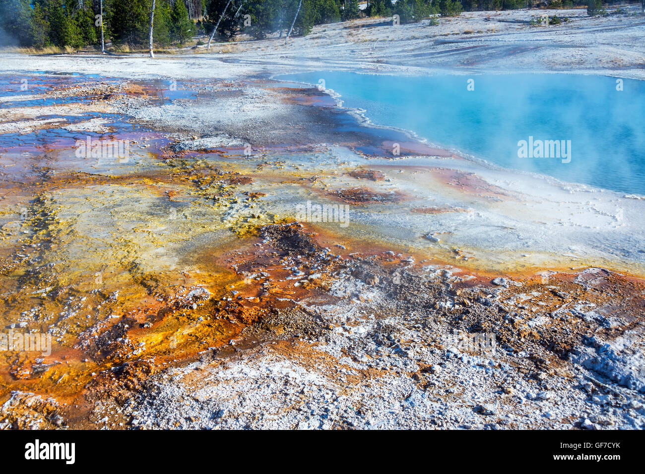 I batteri tappeto accanto alla piscina nera nel West Thumb Geyser Basin nel Parco Nazionale di Yellowstone Foto Stock