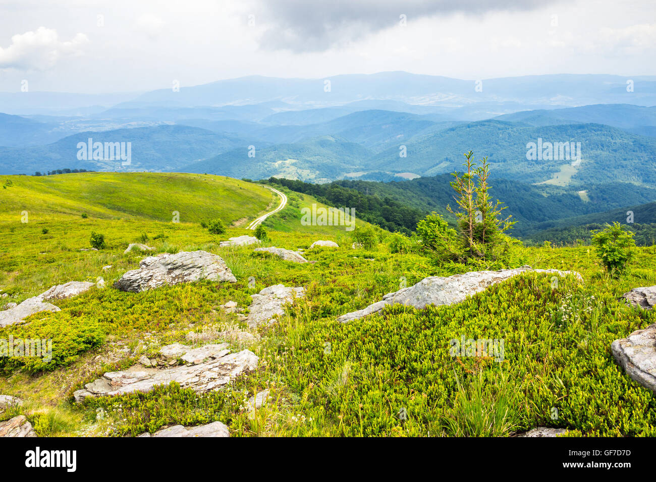 Paese di avvolgimento strada su una collina nei pressi della foresta Foto Stock