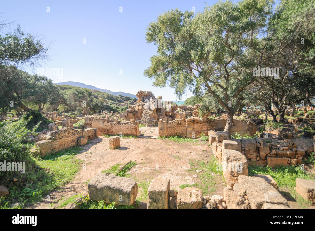 Rovine di Tipasa(Tipaza).L antica città fu una colonia in provincia romana Mauritania Caesariensis loc Foto Stock