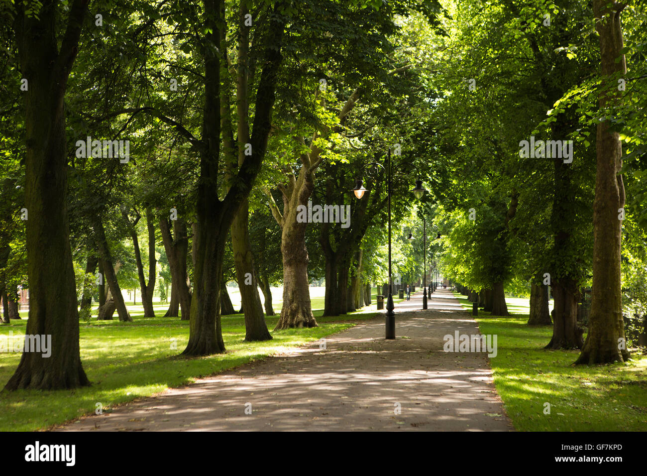 Regno Unito, Inghilterra, Norfolk, King's Lynn, le passeggiate parco pubblico, ampio, a piedi Foto Stock