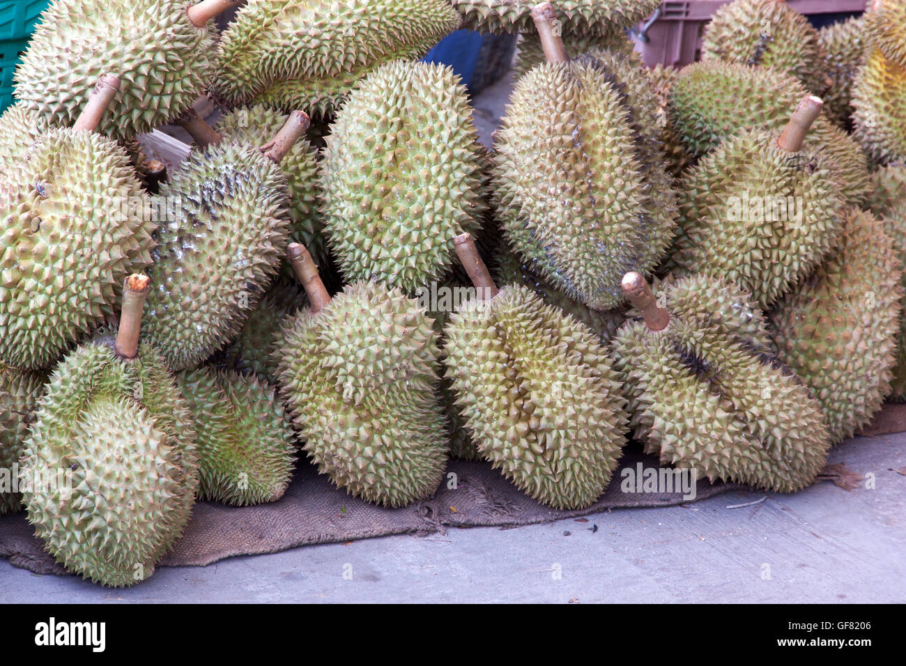 Frutta Durian in Thailandia mercato per la vendita di Foto Stock