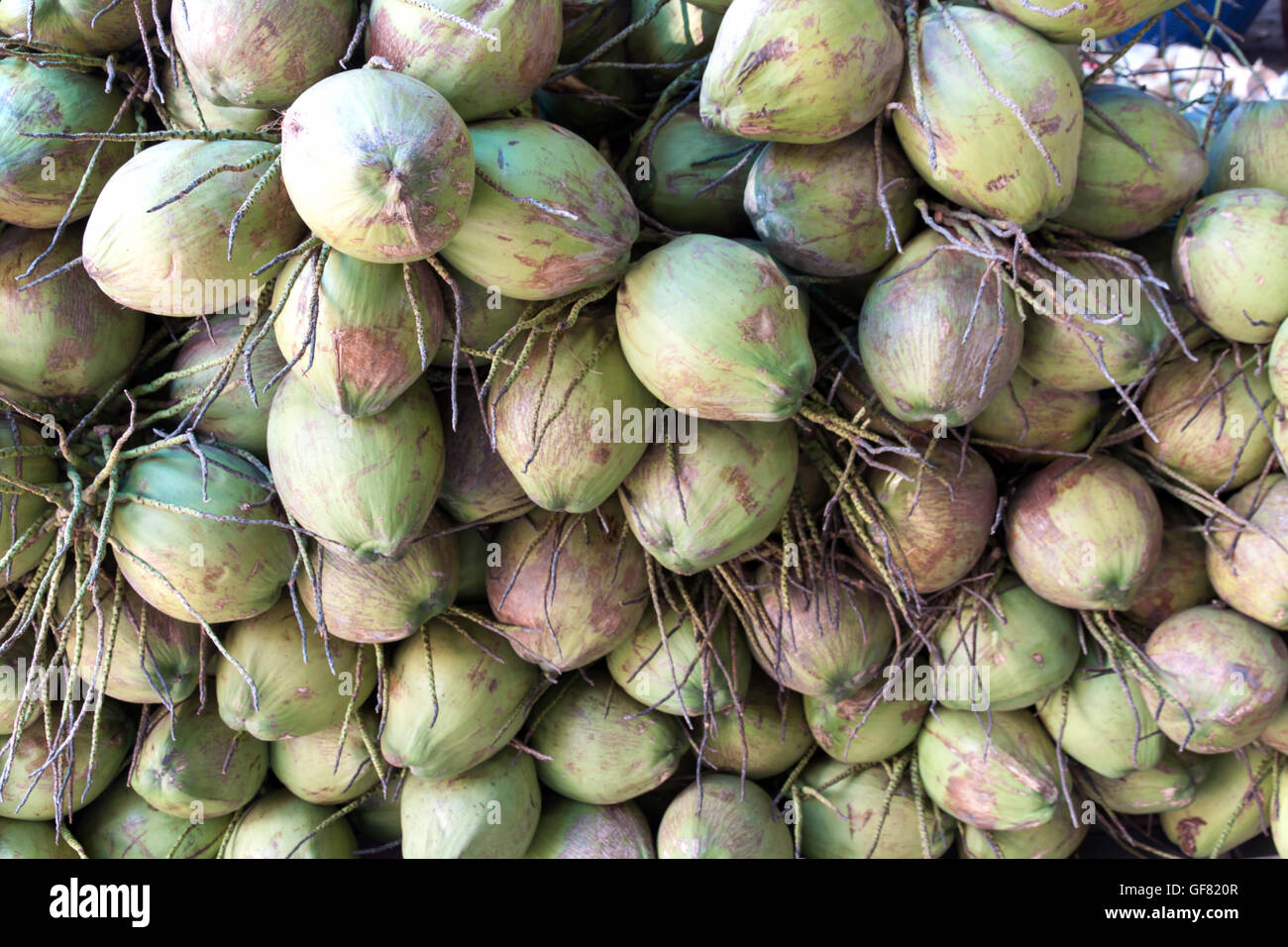 Noci di cocco fresco nel mercato. Acqua di cocco è un fragrante e dolce. Foto Stock