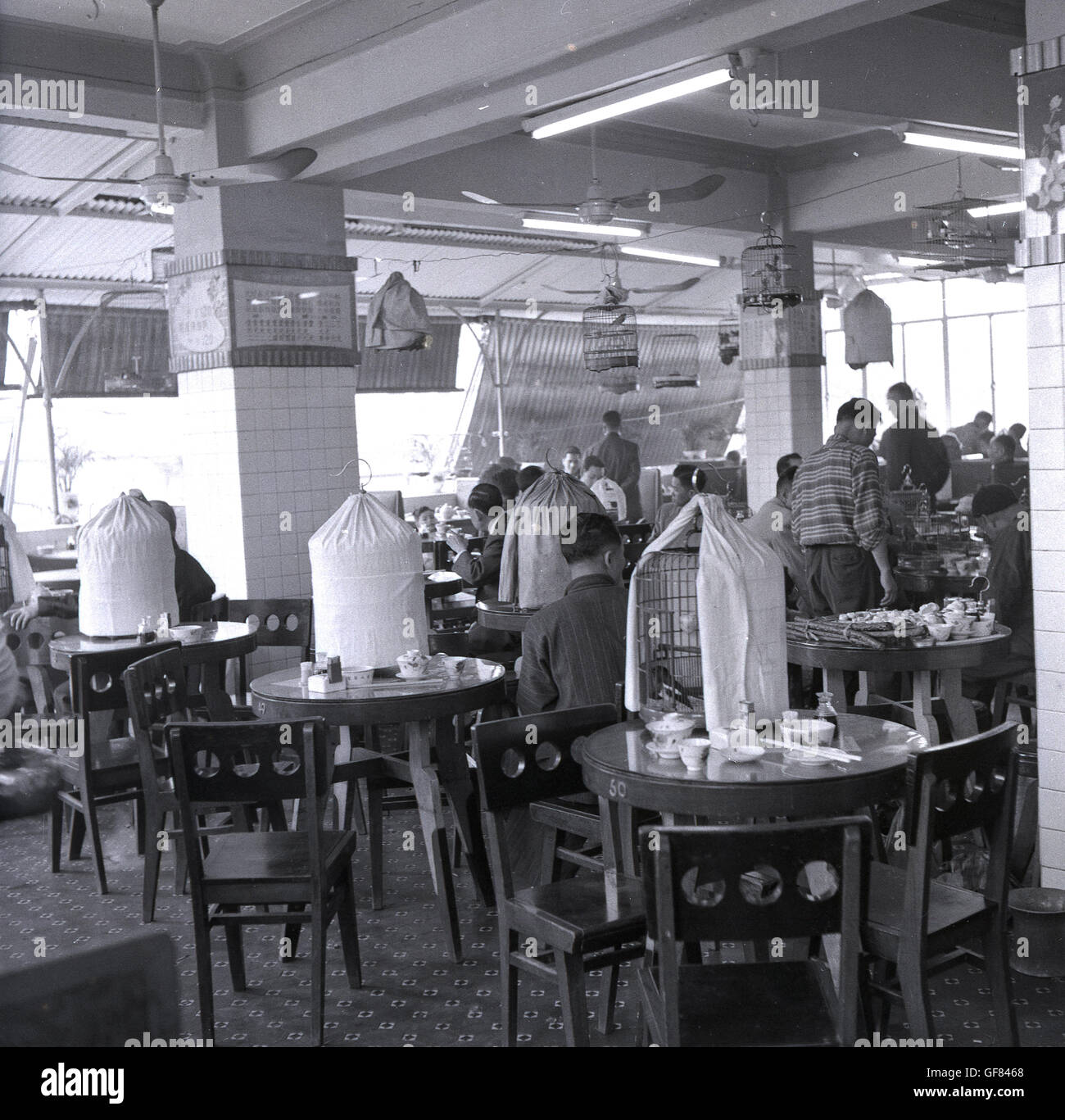 Degli anni Cinquanta, storico, un unico luogo culturale di Hong Kong, la teahouse con uccelli da gabbia sui tavoli. Foto Stock