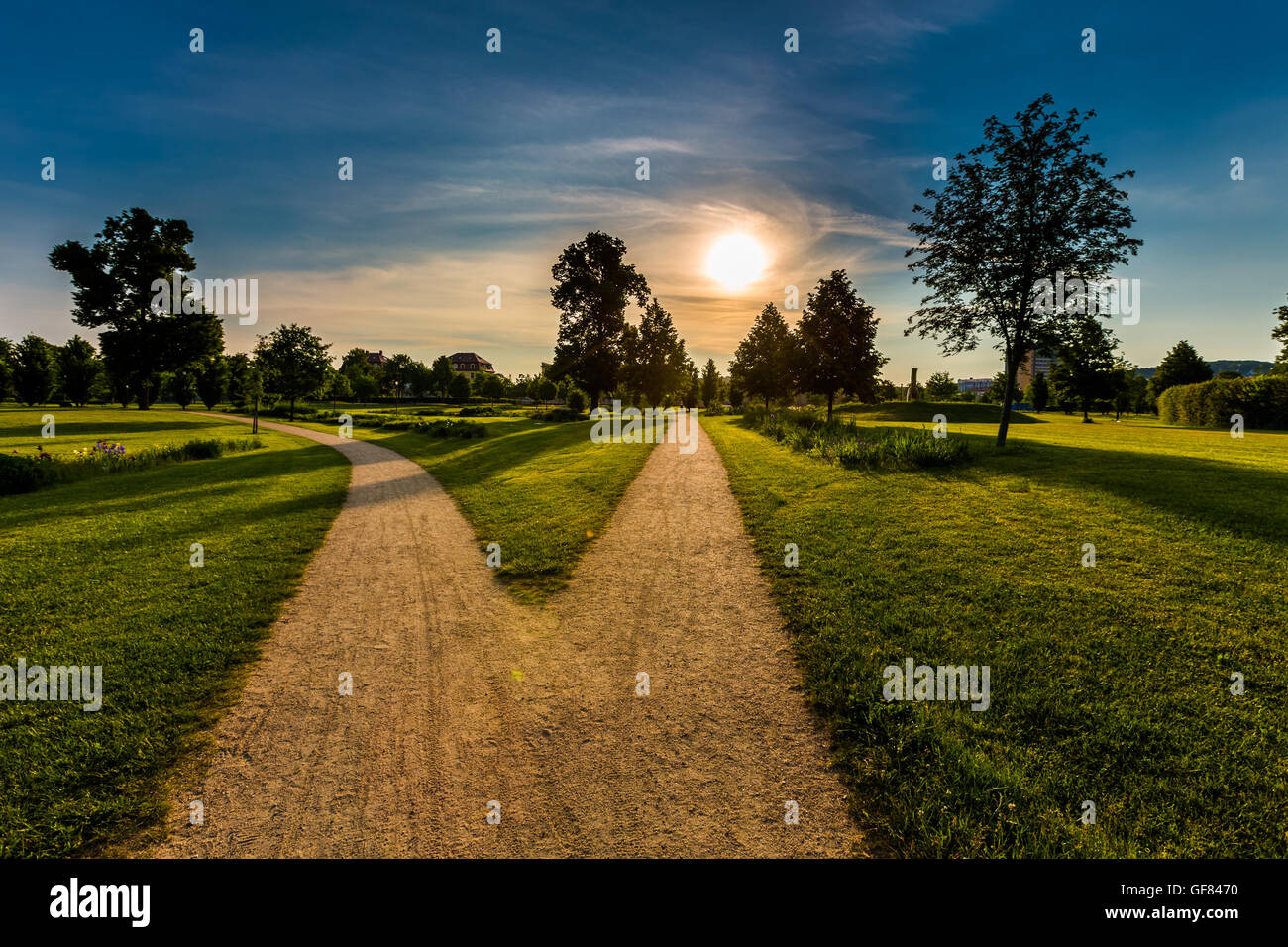 Parco e area ricreativa della città, campo verde e albero Foto Stock