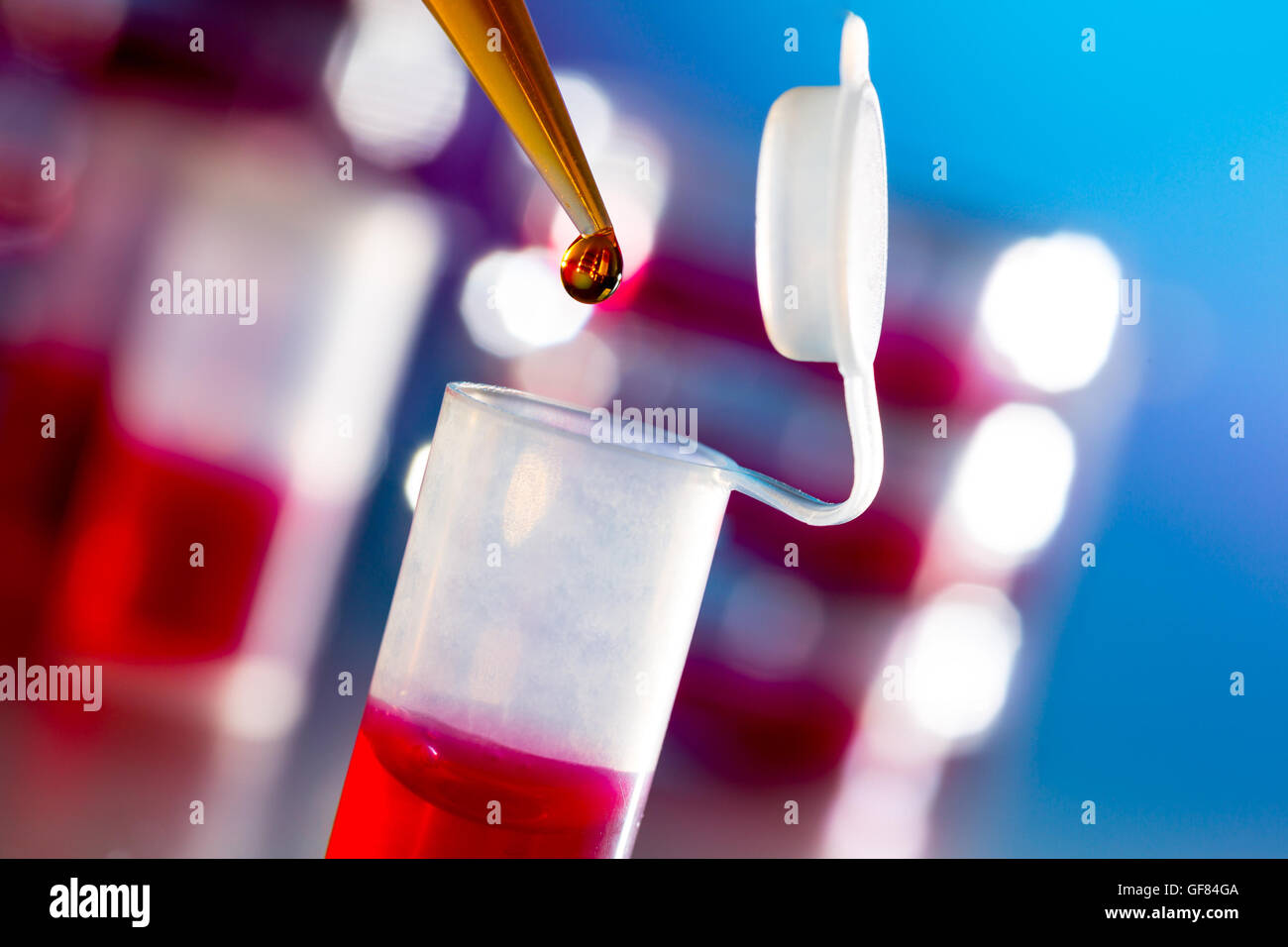 Le ricerche immunologiche in laboratorio, provette e pipettare Foto Stock